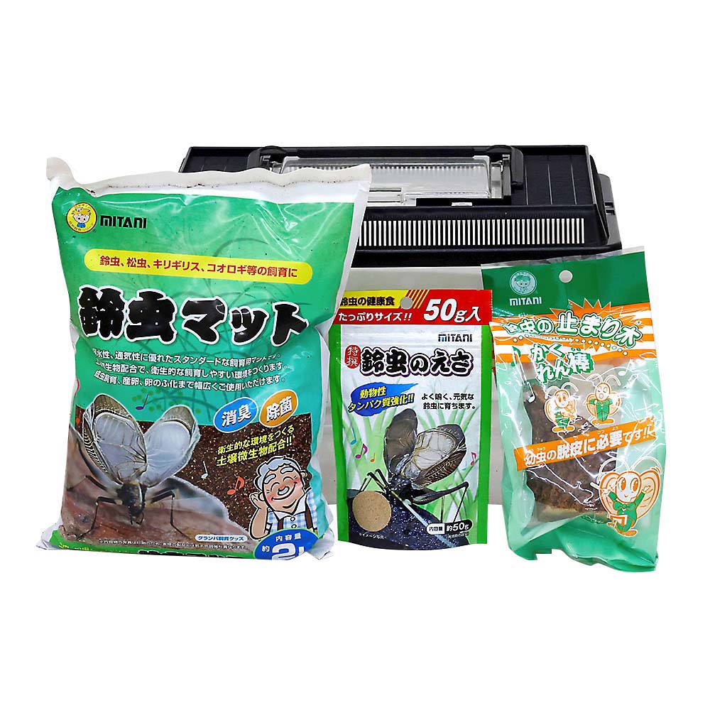 鈴虫飼育ケース付4点セット