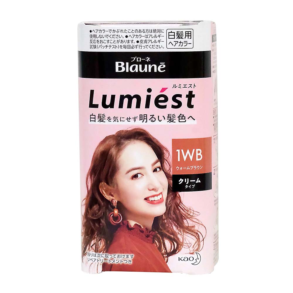 花王 ブローネルミエストヘアカラー 1WB ウォームB　108G