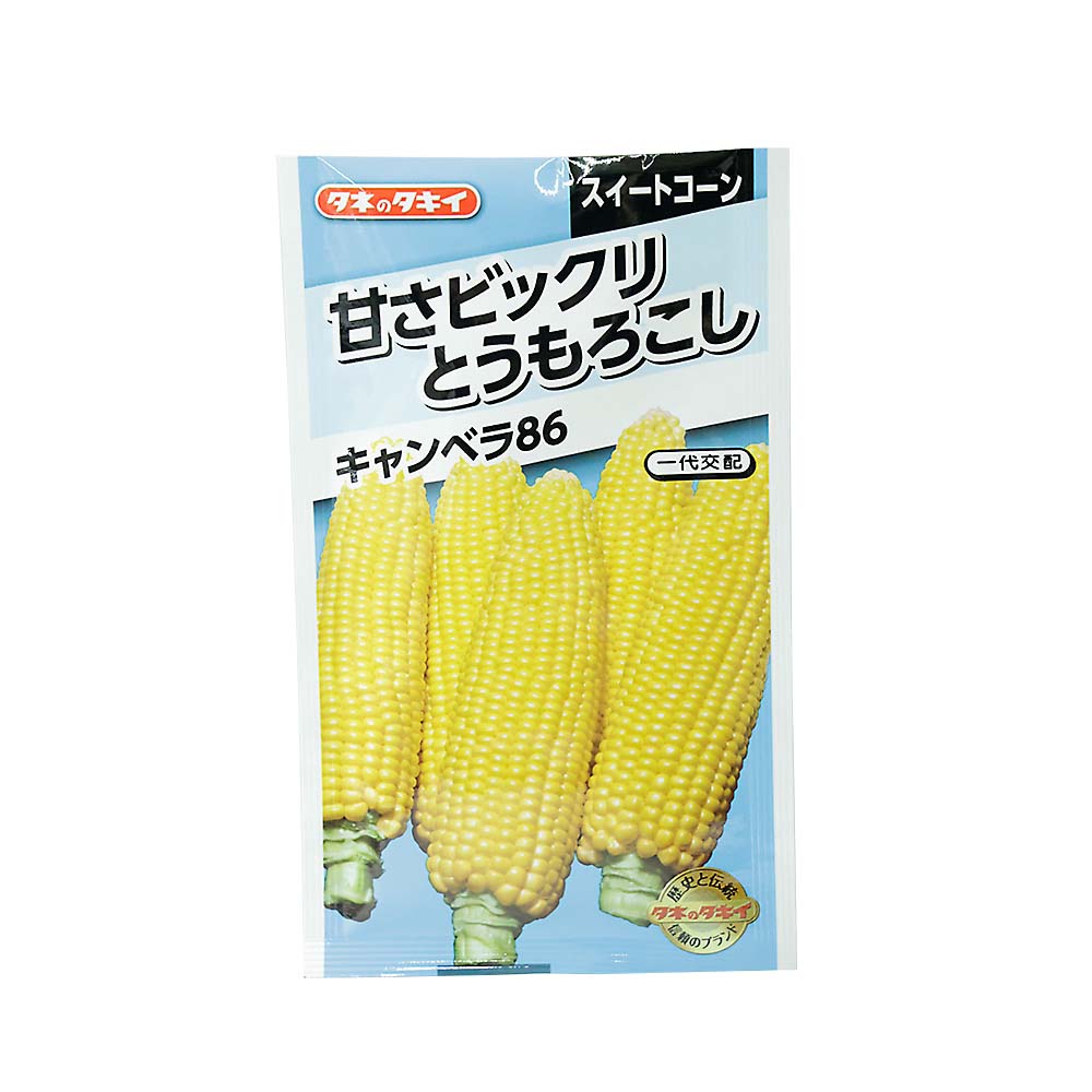 甘さビックリコーン キャンベラ86　春まき