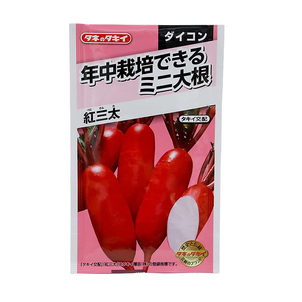 年中栽培できるミニ大根 紅三太　春秋兼用
