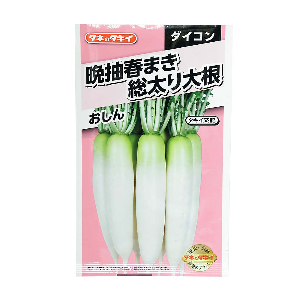 晩抽春まき総太り大根 おしん　春まき