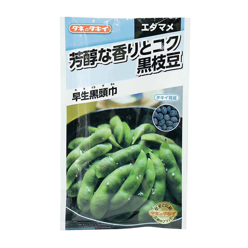 芳醇な香り 黒枝豆 早生黒頭巾　春まき