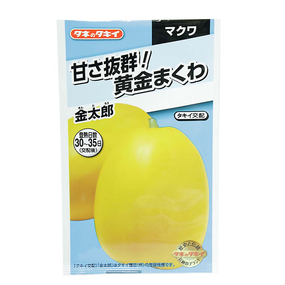 甘さ抜群!黄金まくわ 金太郎　春まき