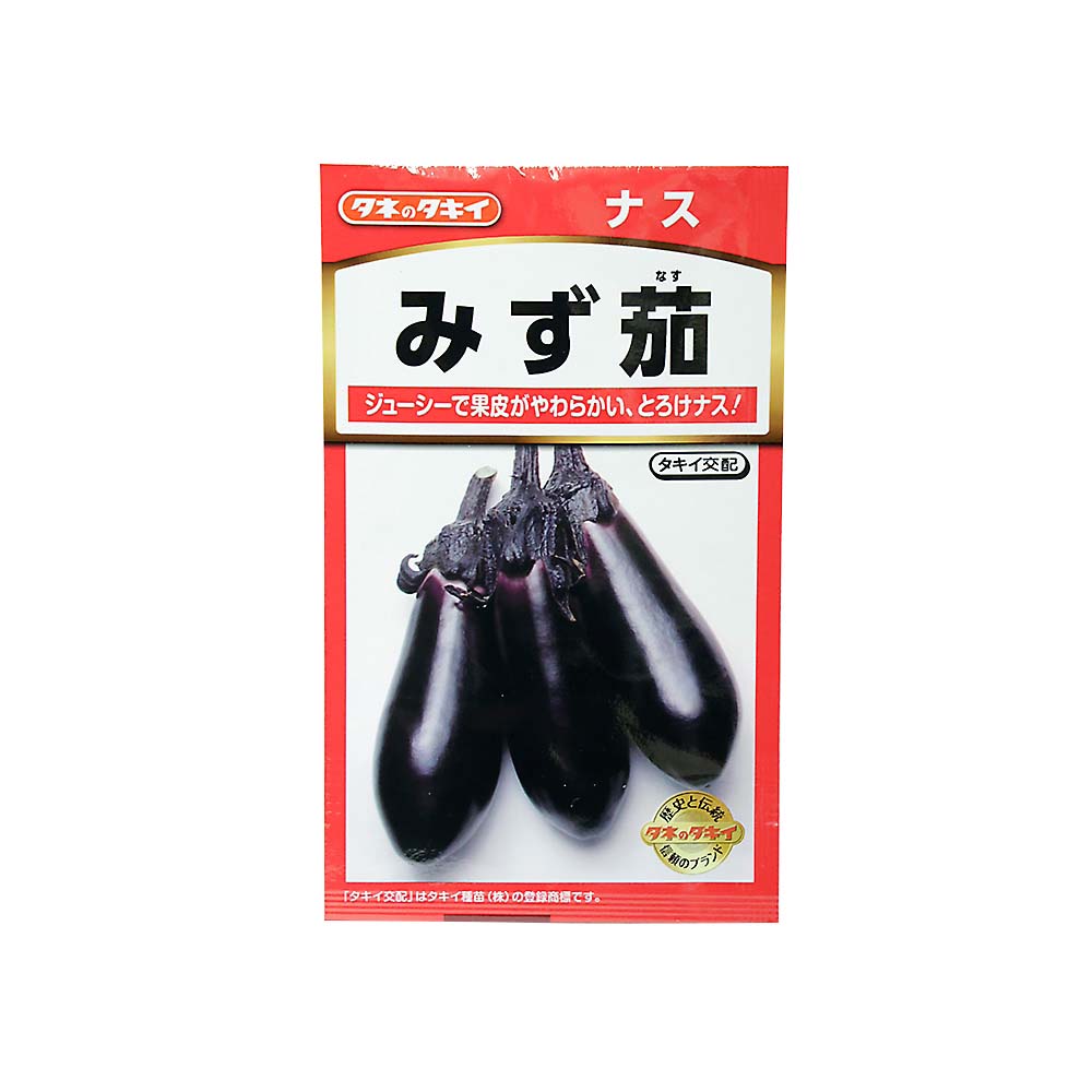 みず茄　春まき