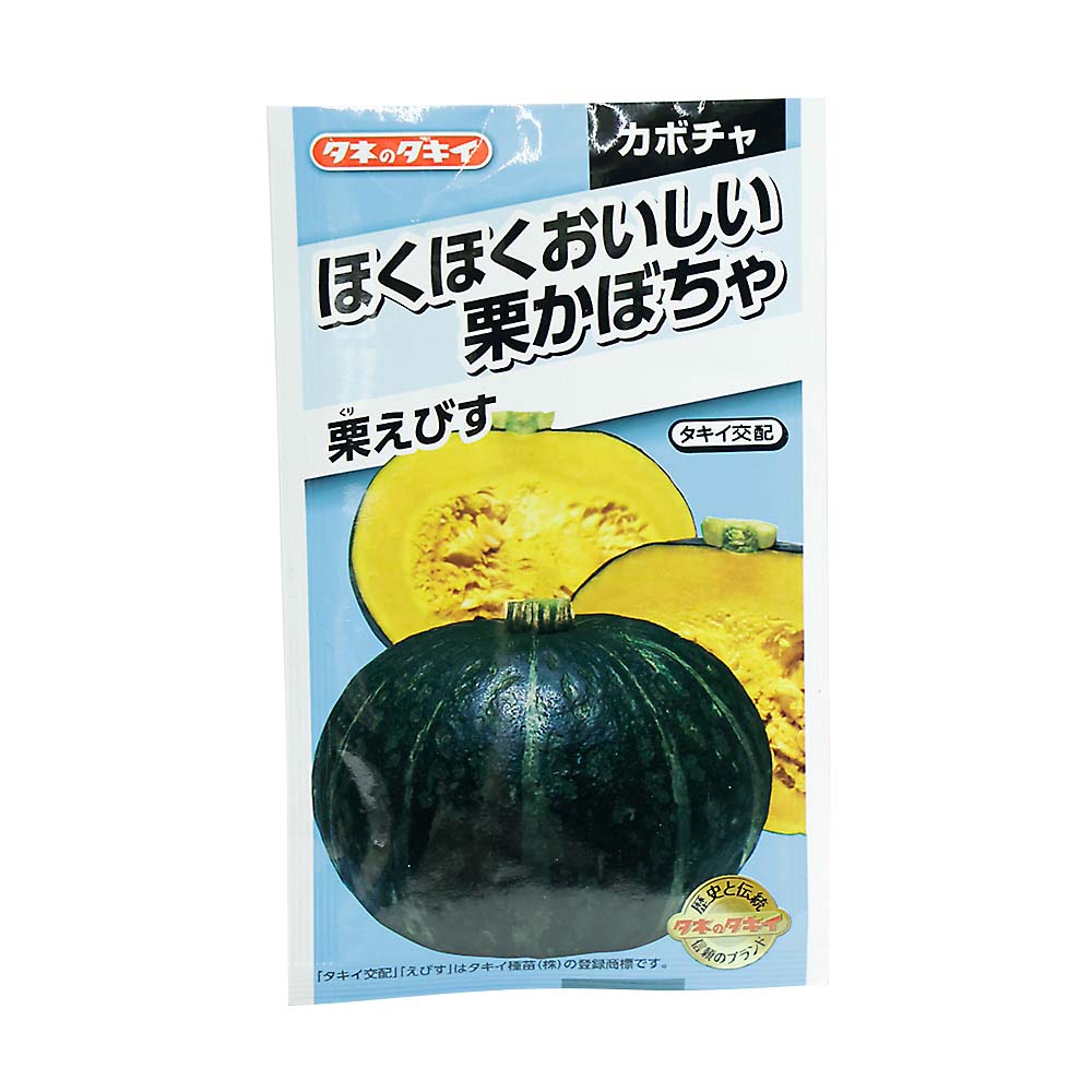 ホクホクおいしいかぼちゃ 栗えびす　春まき