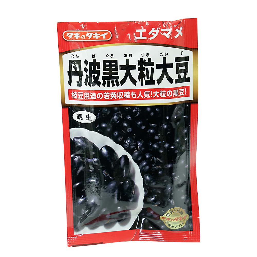 ダイズ 丹波黒大粒大豆　春まき