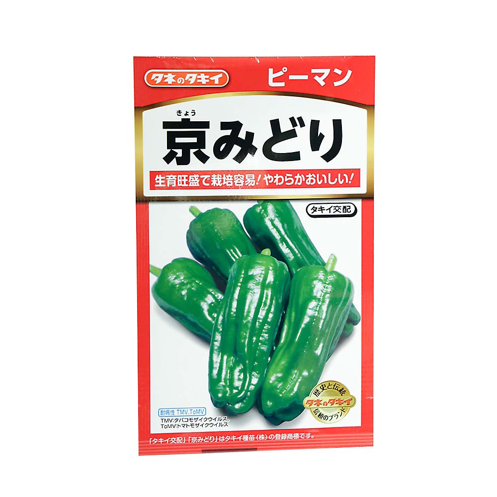 ピ-マン 京みどり　春まき