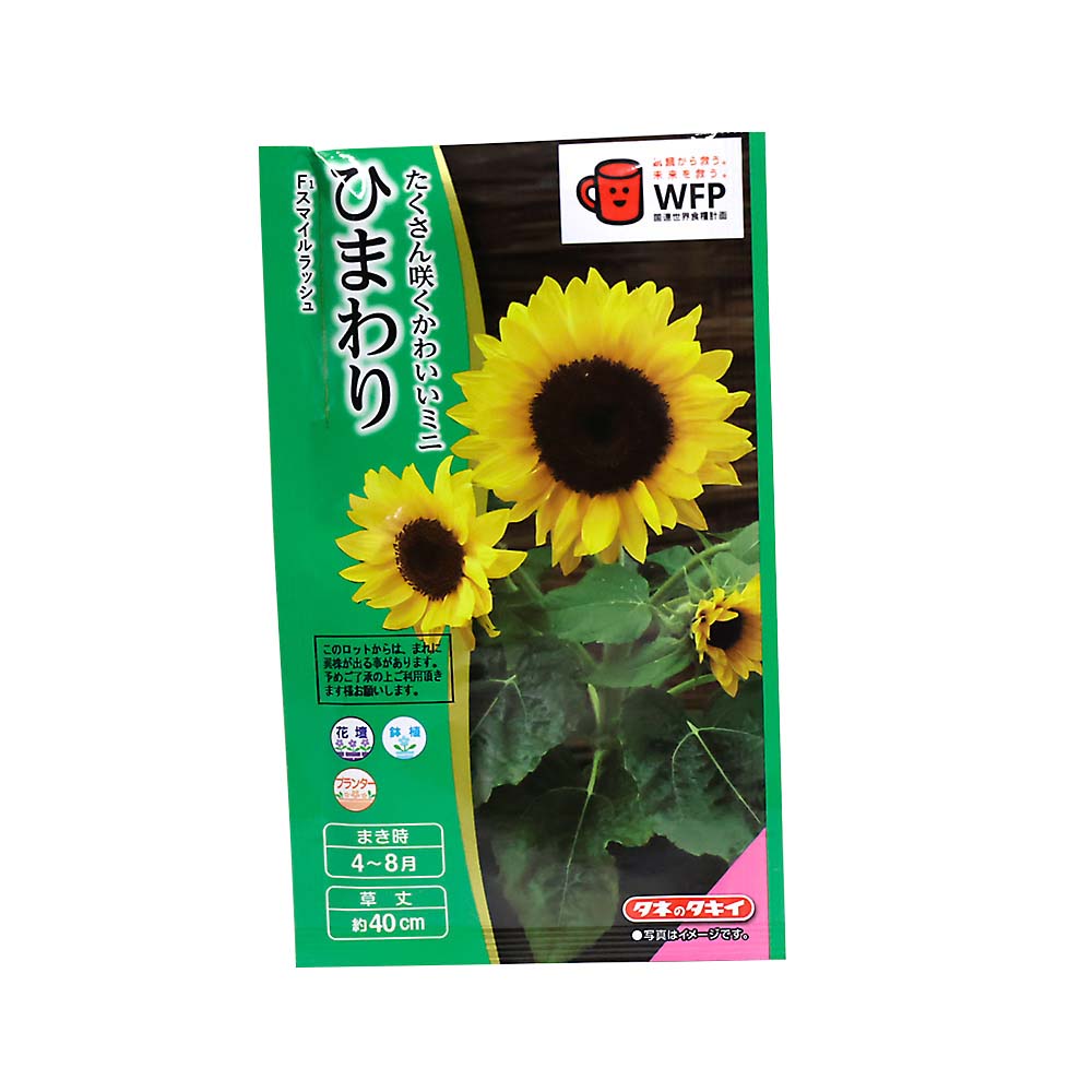 菜の花＿寒咲系混合 春秋兼用 | ジョイフル本田 取り寄せ＆店舗受取