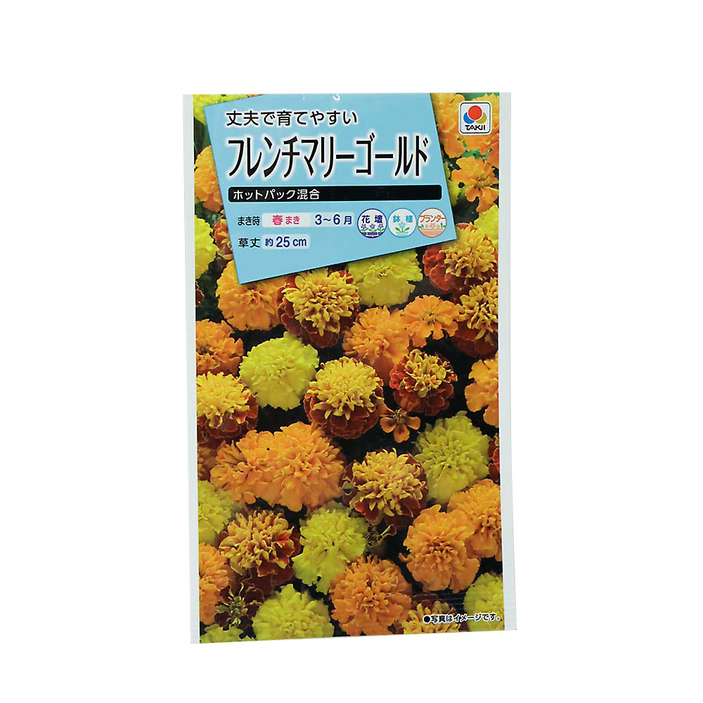 フレンチマリ-ゴ-ルド ホットパツク 混合　春まき