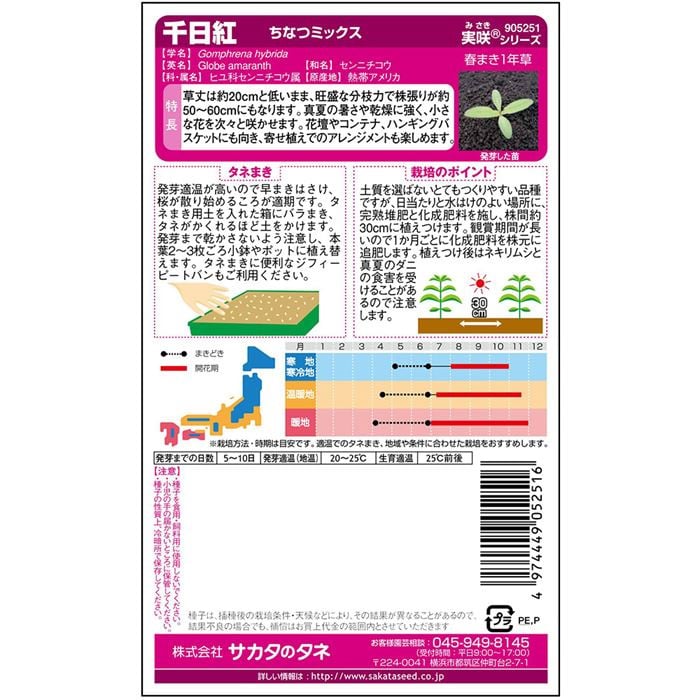 千日紅＿ちなつミックス　春秋兼用