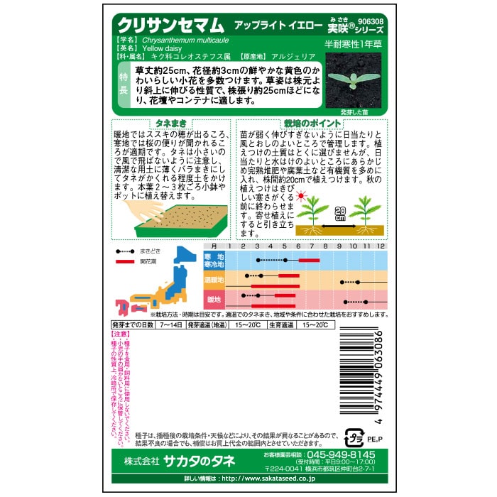 クリサンセマム_アップライトイエロー　春秋兼用