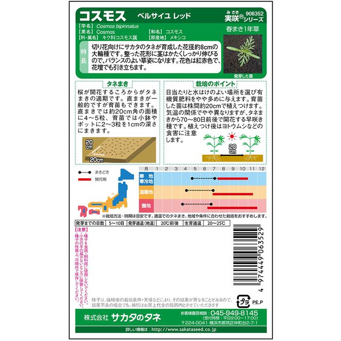 コスモス＿ベルサイユ　レッド　春秋兼用