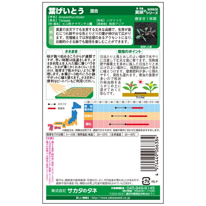 けいとう＿葉げいとう＿混合　春秋兼用