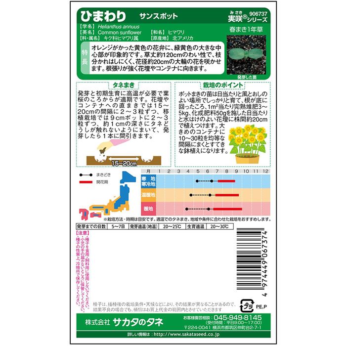 ひまわり＿サンスポット　春秋兼用