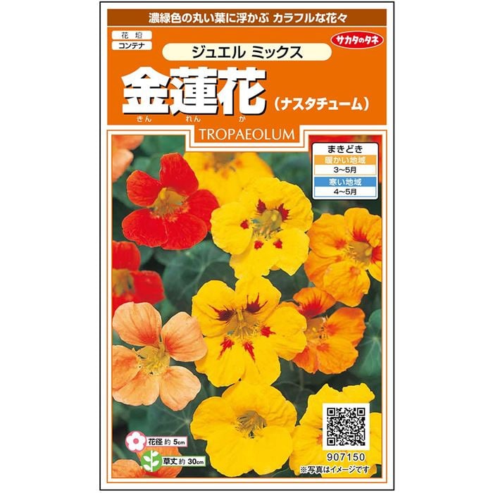 金蓮花＿ジュエルミックス　春まき