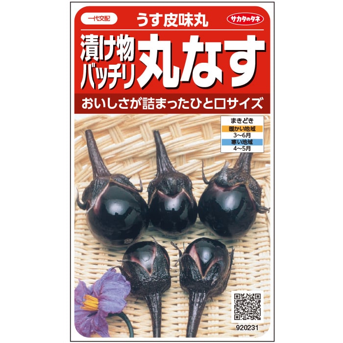 ナス＿うす皮味丸　春まき