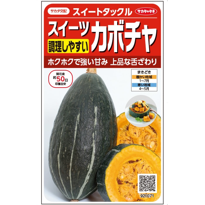 カボチャ＿スイーツカボチャ＿スイートタックル　春まき