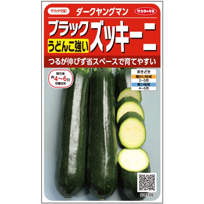 ズッキーニ＿　ダークヤングマン　春まき