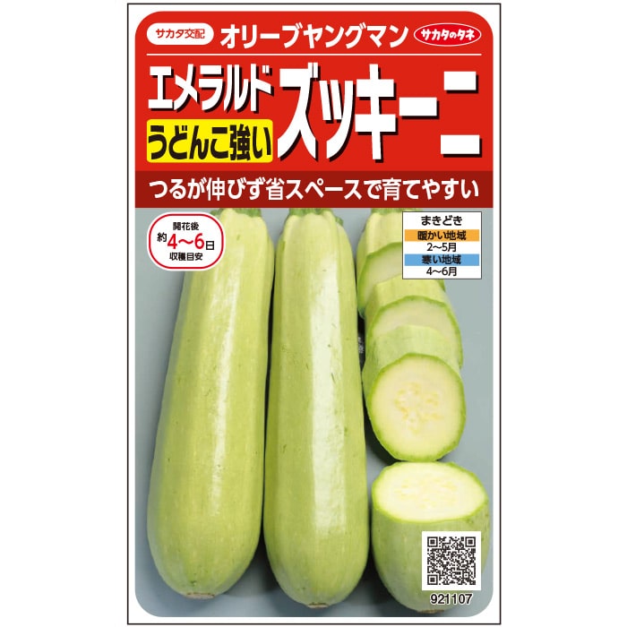 ズッキーニ＿オリーブドヤングマン　春まき