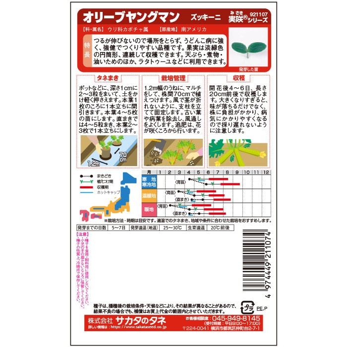 ズッキーニ＿オリーブドヤングマン　春まき