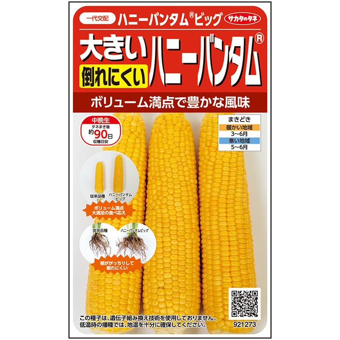 コーン＿スイートコーン＿ハニーバンタムビッグ　春まき