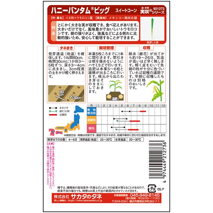 コーン＿スイートコーン＿ハニーバンタムビッグ　春まき