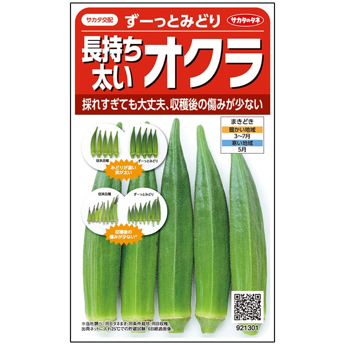 オクラ＿ずーっとみどり　春まき