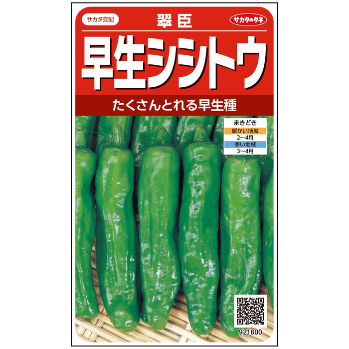 シシトウ＿早生シシトウ＿翠臣　春まき