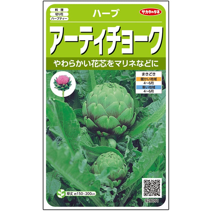 アーティチョーク＿ハーブ　春まき