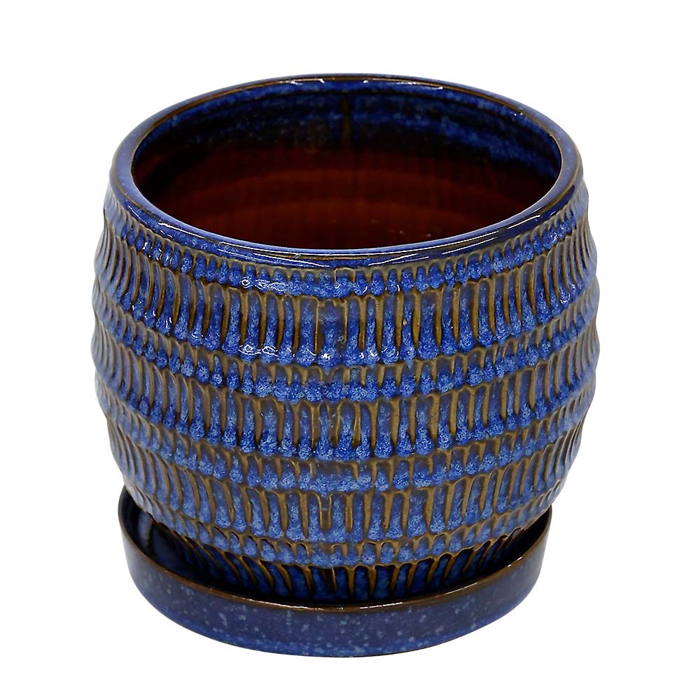 クラッツ　シノ　ブルー　１８ｃｍ