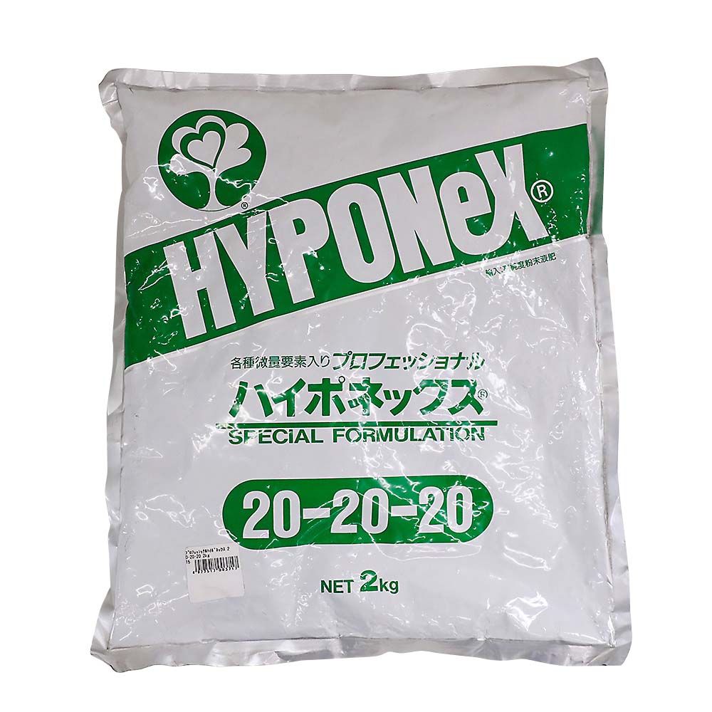 Hyponex プロフェッショナルハイポネックス 2kg　2kg