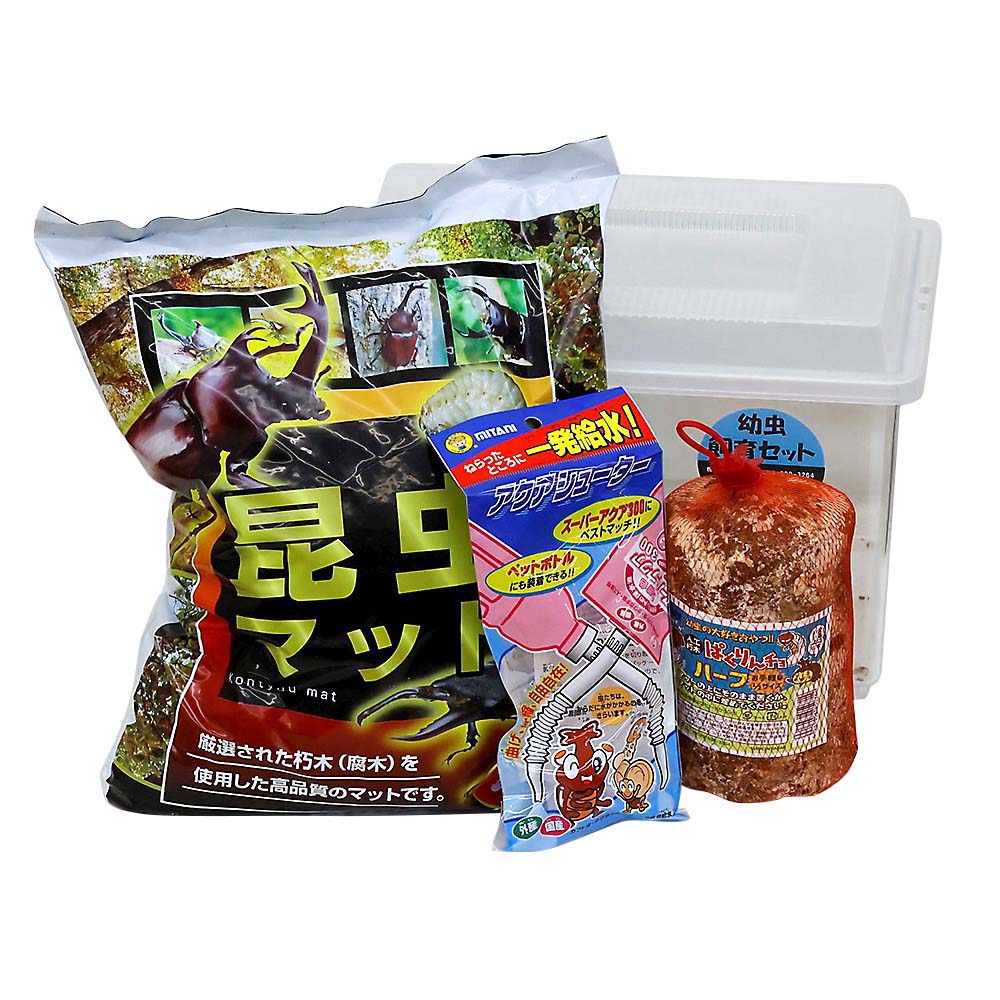 幼虫飼育ケース付4点セット