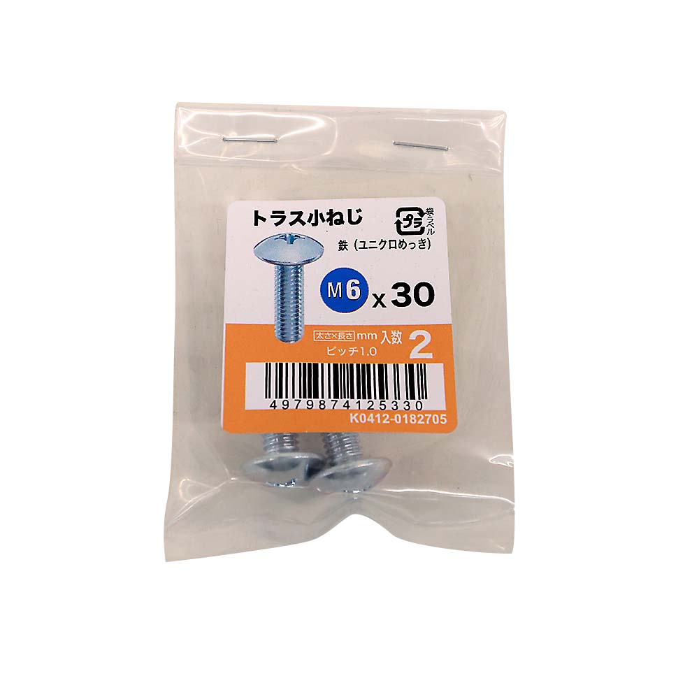 トラス小ねじユニクロ (2入)　M6X30