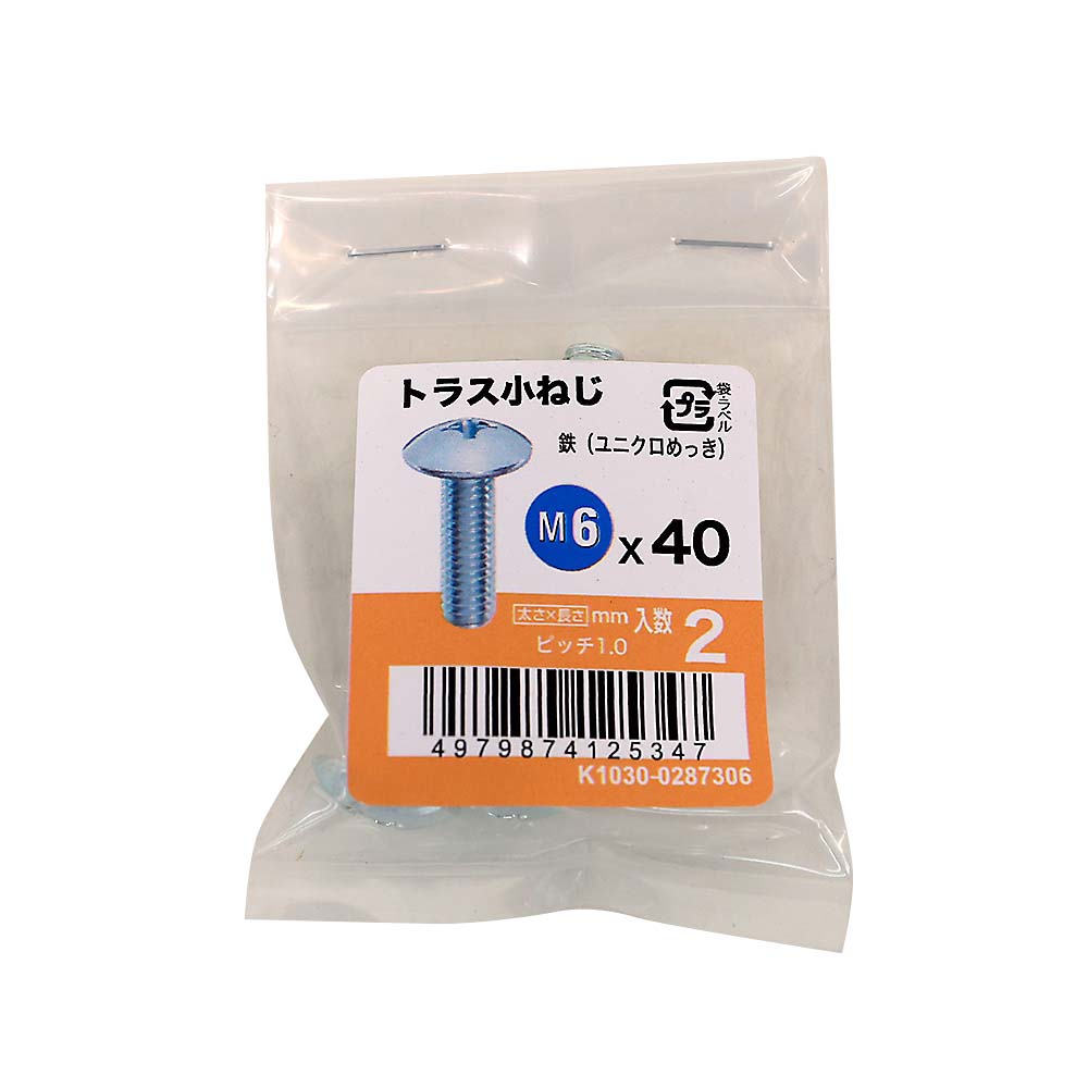 トラス小ねじユニクロ (2入)　M6X40