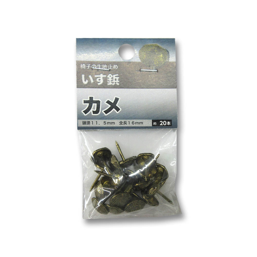 いす鋲 カメ