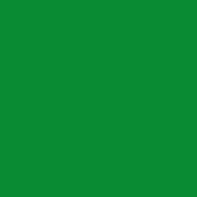 ポリクロモス色鉛筆  エメラルドグリーン　163