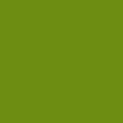 ポリクロモス色鉛筆  アースイエローグリーン　168