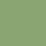 ポリクロモス色鉛筆  アースグリーン　172