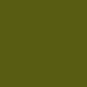 ポリクロモス色鉛筆  クロームグリーンオペーク　174