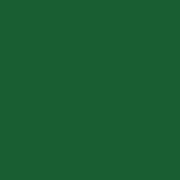 ポリクロモス色鉛筆  クロームオキサイドグリーン　276
