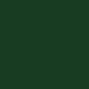 ポリクロモス色鉛筆  クロームオキサイドグリーン　278