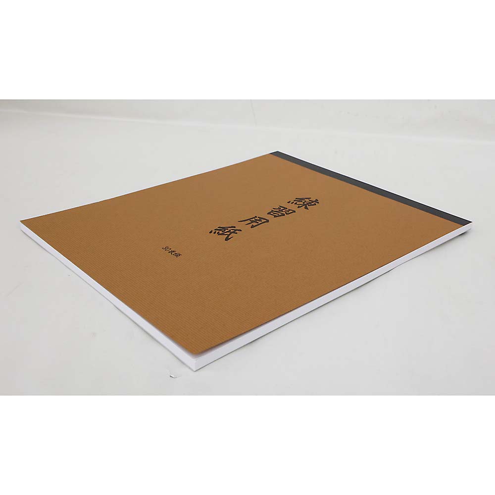 色紙 練習用30枚綴　大色紙