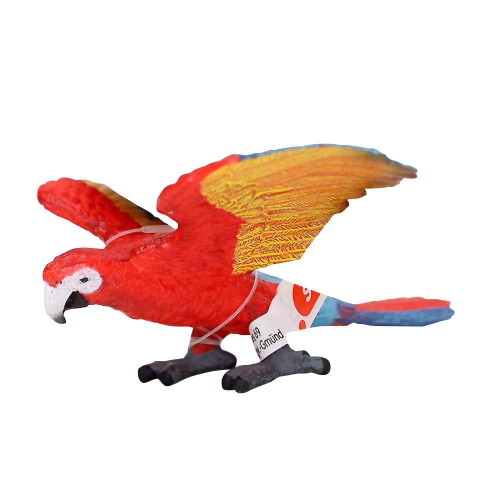 コンゴウインコ　１４７３７
