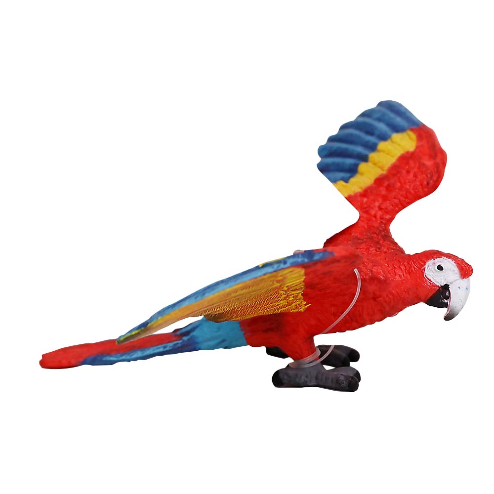 コンゴウインコ　１４７３７