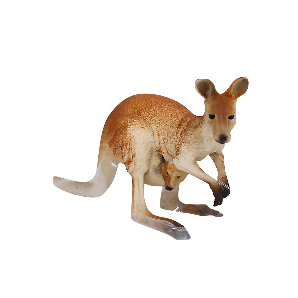 カンガルー　１４７５６