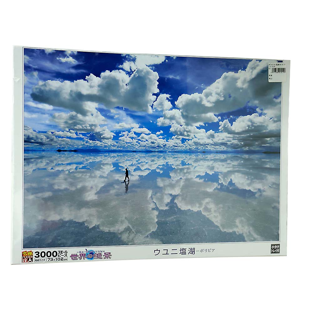 ウユニ塩湖-ボリビア　21-514