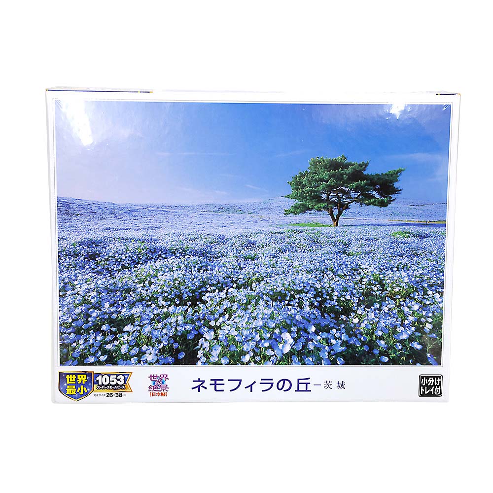 ネモフィラの丘-茨城　31-003