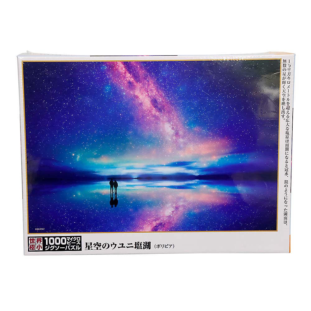 星空のウユニ塩湖　M81-566