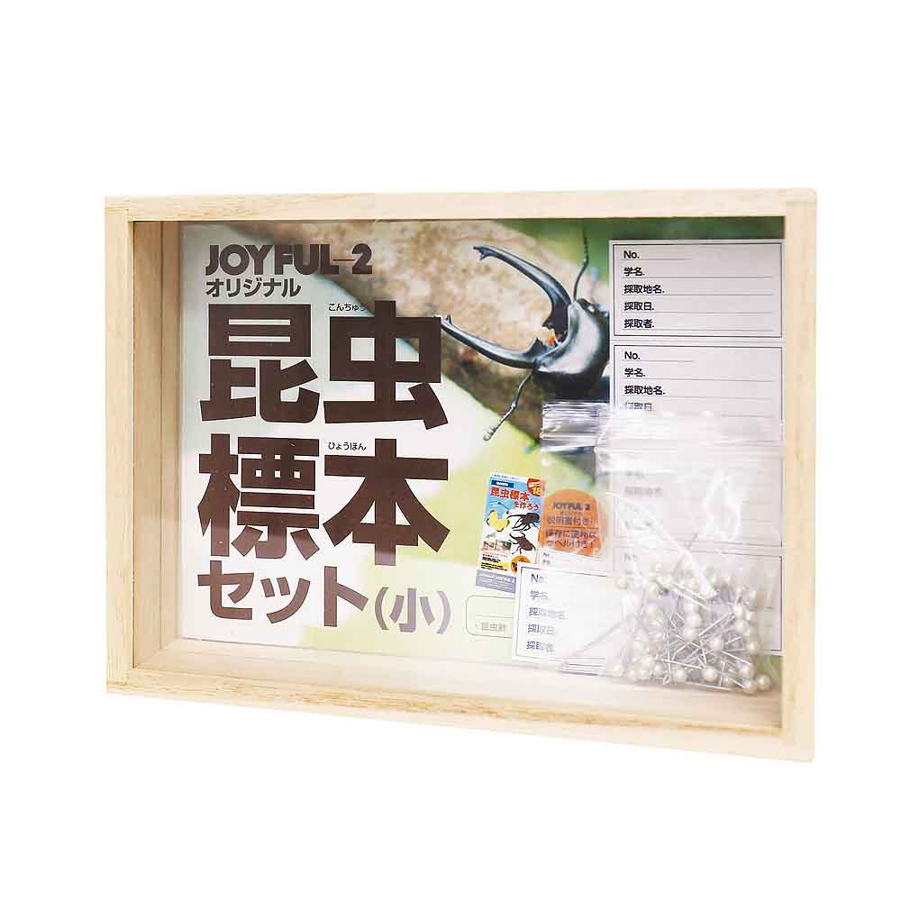 昆虫標本セット 標本セット】昆虫採集セット / 山内屋商店 - 会津