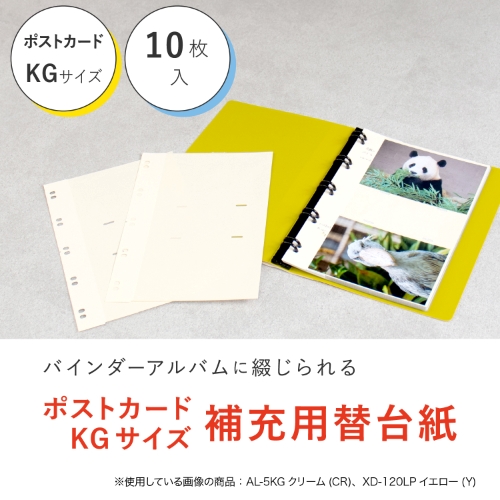 ソニック　プリントまとめて忘れん絡袋　Ａ４　ピンク　ＧＳ－５５４６－Ｐ